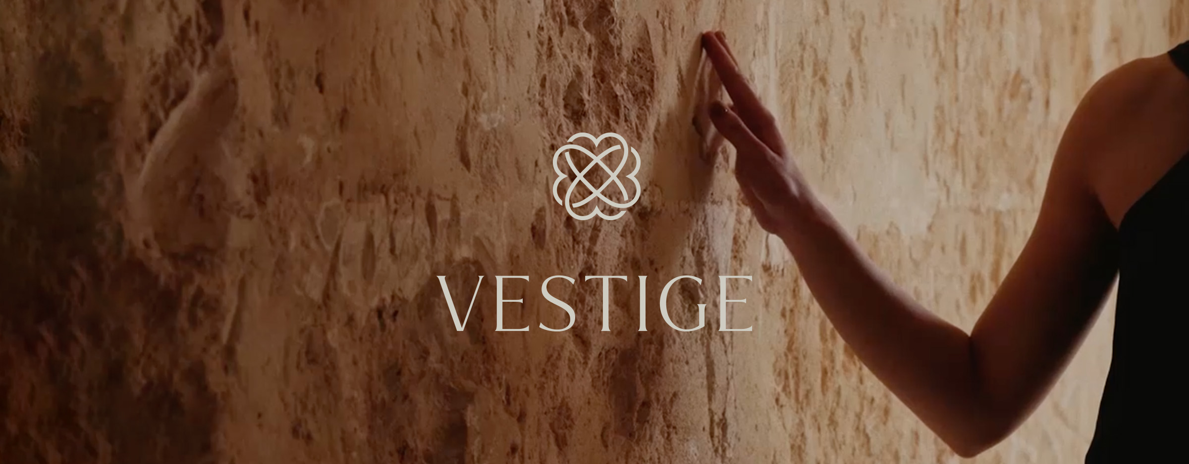 Proyecto Vestige Collection